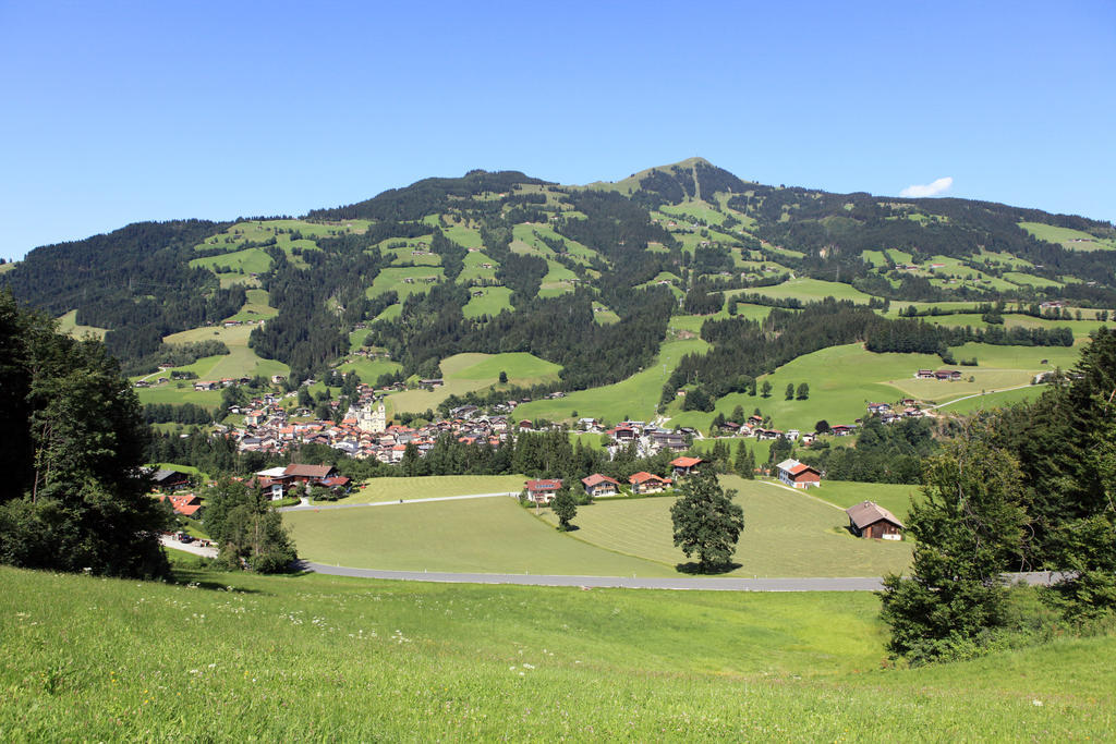 Landhaus Hinterebenhub Hopfgarten im Brixental Eksteriør billede